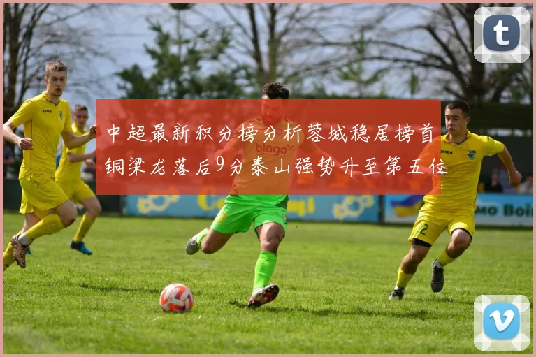 中超最新积分榜分析蓉城稳居榜首铜梁龙落后9分泰山强势升至第五位津门虎积分清零